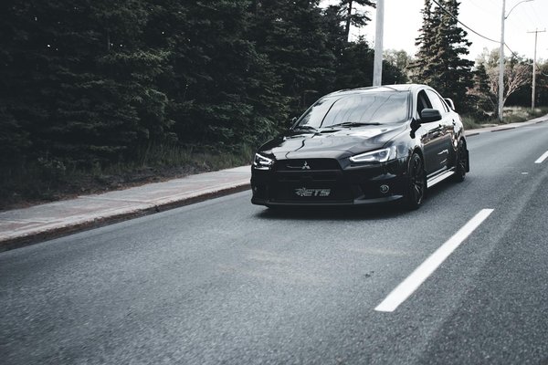 ¿Cómo construir un estanque adecuado para peces Koi en el jardín?