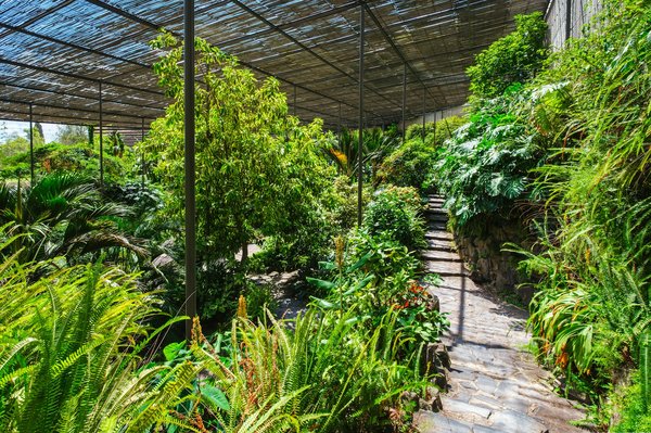 ¿Qué consideraciones tener en cuenta al elegir una estufa de leña para casa?