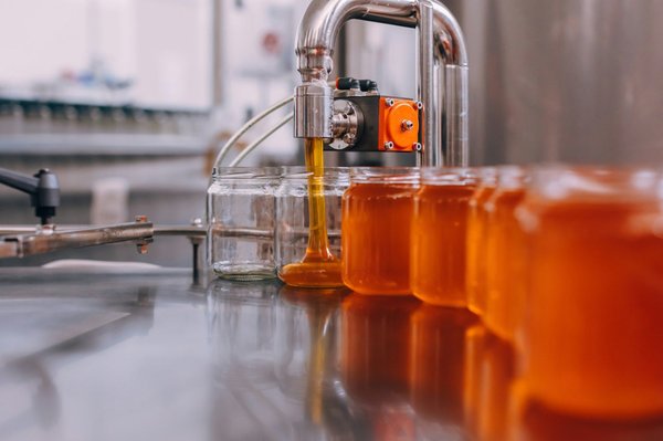 ¿Qué tipo de alimentación es más adecuada para un gato con problemas gastrointestinales?